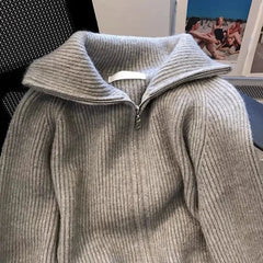 Autumn Winter New knitted Cardigan Sweater Women Fashion Long-Sleeved Zipper High Neck Coat Female Loose Sweater Ladies Tops Pbong