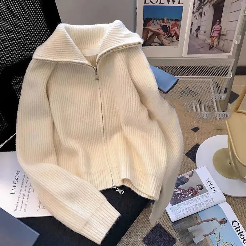 Autumn Winter New knitted Cardigan Sweater Women Fashion Long-Sleeved Zipper High Neck Coat Female Loose Sweater Ladies Tops Pbong