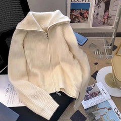 Autumn Winter New knitted Cardigan Sweater Women Fashion Long-Sleeved Zipper High Neck Coat Female Loose Sweater Ladies Tops Pbong