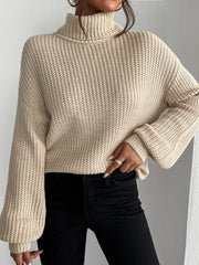 New autumn and winter high neck long sleeved pullover sweater voguable