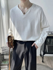 Light Luxury Top High-end Niche Designer V-neck Long-sleeved T-shirt Men Spring Autumn Trendy Versatile Base Shirt Aesthetic voguable