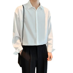 New Long Sleeve Men Shirt Ice Silk No Iron Simple Lapel Hidden Button Business Casual Autumn Solid Color Men Dress Shirt voguable