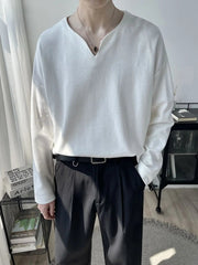 Light Luxury Top High-end Niche Designer V-neck Long-sleeved T-shirt Men Spring Autumn Trendy Versatile Base Shirt Aesthetic voguable