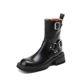 44398001848543|44398001881311|44398001914079|44398001946847|44398001979615|44398002012383|44398002045151