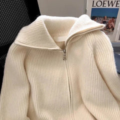 Autumn Winter New knitted Cardigan Sweater Women Fashion Long-Sleeved Zipper High Neck Coat Female Loose Sweater Ladies Tops Pbong
