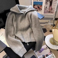 Autumn Winter New knitted Cardigan Sweater Women Fashion Long-Sleeved Zipper High Neck Coat Female Loose Sweater Ladies Tops Pbong