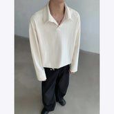 Autumn Long Sleeved T-shirt Men Fashion Beige Lapel T Shirt Men Streetwear Korean Loose Pullover Sweatshirt Mens Polo Shirt voguable