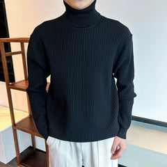 New Korean Retro Men Basic Sweater Luxury Knit Solid Color Turtleneck Long Sleeve Pullover Casual Textured High Quality Knitwear voguable
