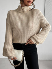 New autumn and winter high neck long sleeved pullover sweater voguable
