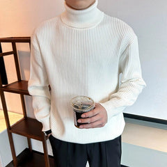 New Korean Retro Men Basic Sweater Luxury Knit Solid Color Turtleneck Long Sleeve Pullover Casual Textured High Quality Knitwear voguable