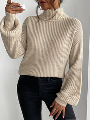 New autumn and winter high neck long sleeved pullover sweater voguable