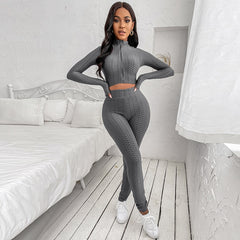 Spring Autumn Outfits Set 2 Pieces Suit Tracksuit Female Solid Color Long Sleeve Crop Tops with Zipper Long Pants for Women Fall voguable