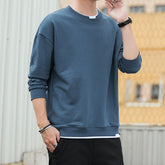 Voguable Spring Men Hoodies Sweatshirts Long Sleeve Tops Solid Casual Pullover Mens Sweatshirt Brand Coats Autumn Outerwear Hip Hop C39 voguable