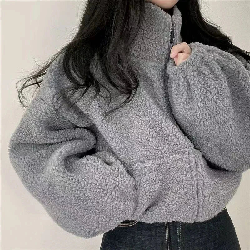 Artificial Lamb Wool Crop Jacket Women Autumn Winter Thick Warm Plush Coat Female Fashion Zipper Stand Collar Casual Outerwear voguable