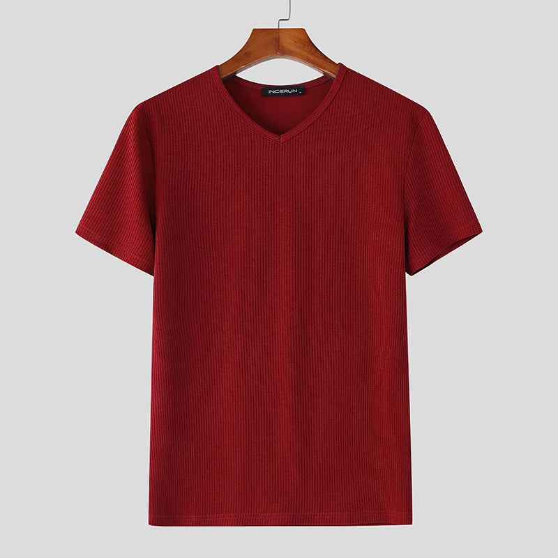 2025 Men's T Shirt Solid V Neck Short Sleeve Summer Streetwear Casual Male Tee Tops Korean Style Fashion Men Clothing voguable