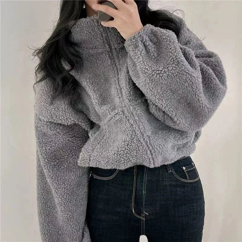 Artificial Lamb Wool Crop Jacket Women Autumn Winter Thick Warm Plush Coat Female Fashion Zipper Stand Collar Casual Outerwear voguable