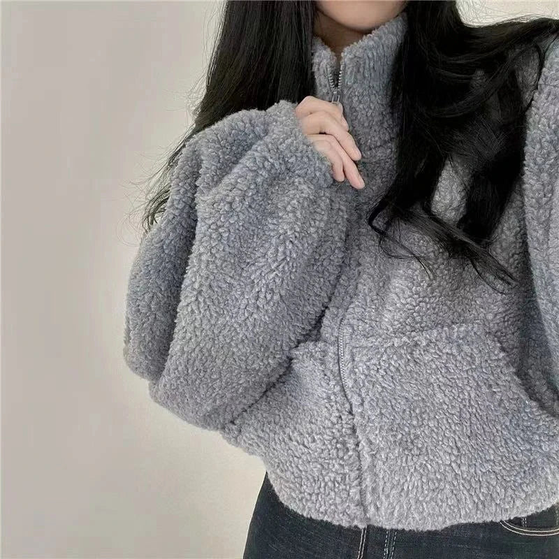Artificial Lamb Wool Crop Jacket Women Autumn Winter Thick Warm Plush Coat Female Fashion Zipper Stand Collar Casual Outerwear voguable