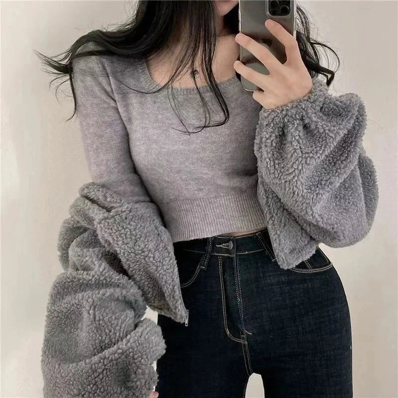 Artificial Lamb Wool Crop Jacket Women Autumn Winter Thick Warm Plush Coat Female Fashion Zipper Stand Collar Casual Outerwear voguable