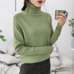 Women Turtleneck Knitted Sweaters Long Sleeve Roll-neck Pullover Plain Jumper Ladies Autumn Winter Layered Basic Outfit voguable