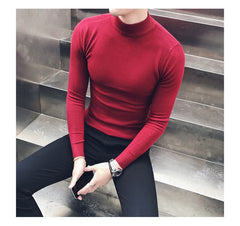Voguable  Autumn New Men's Turtleneck Sweaters Male Slim Fit Solid Color High Neck Sweater Men Long Sleeve Knitted Pullover Tops 3XL voguable