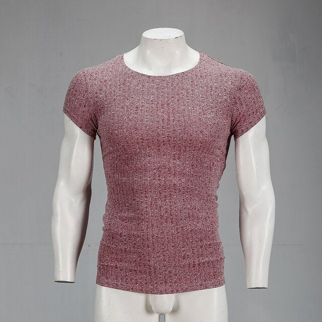 Voguable 2021 Autumn Fashion Men's T-shirt Sweater O-Neck Slim Fit Knittwear Mens Long Sleeve Pullovers Tshirts Men Fitness Pull Homme voguable